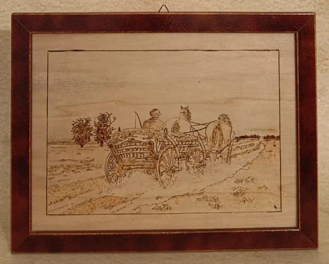 coachman_oijk2h